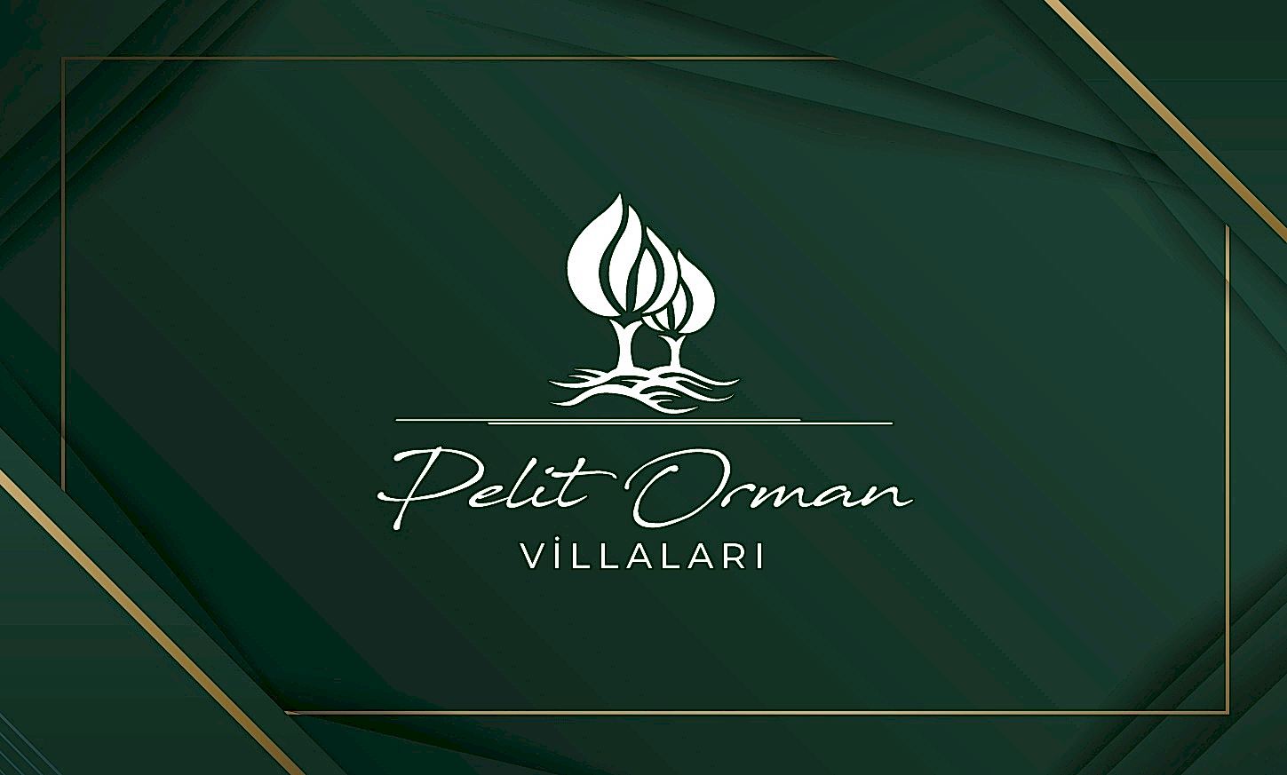 PELİT ORMAN VİLLALARI