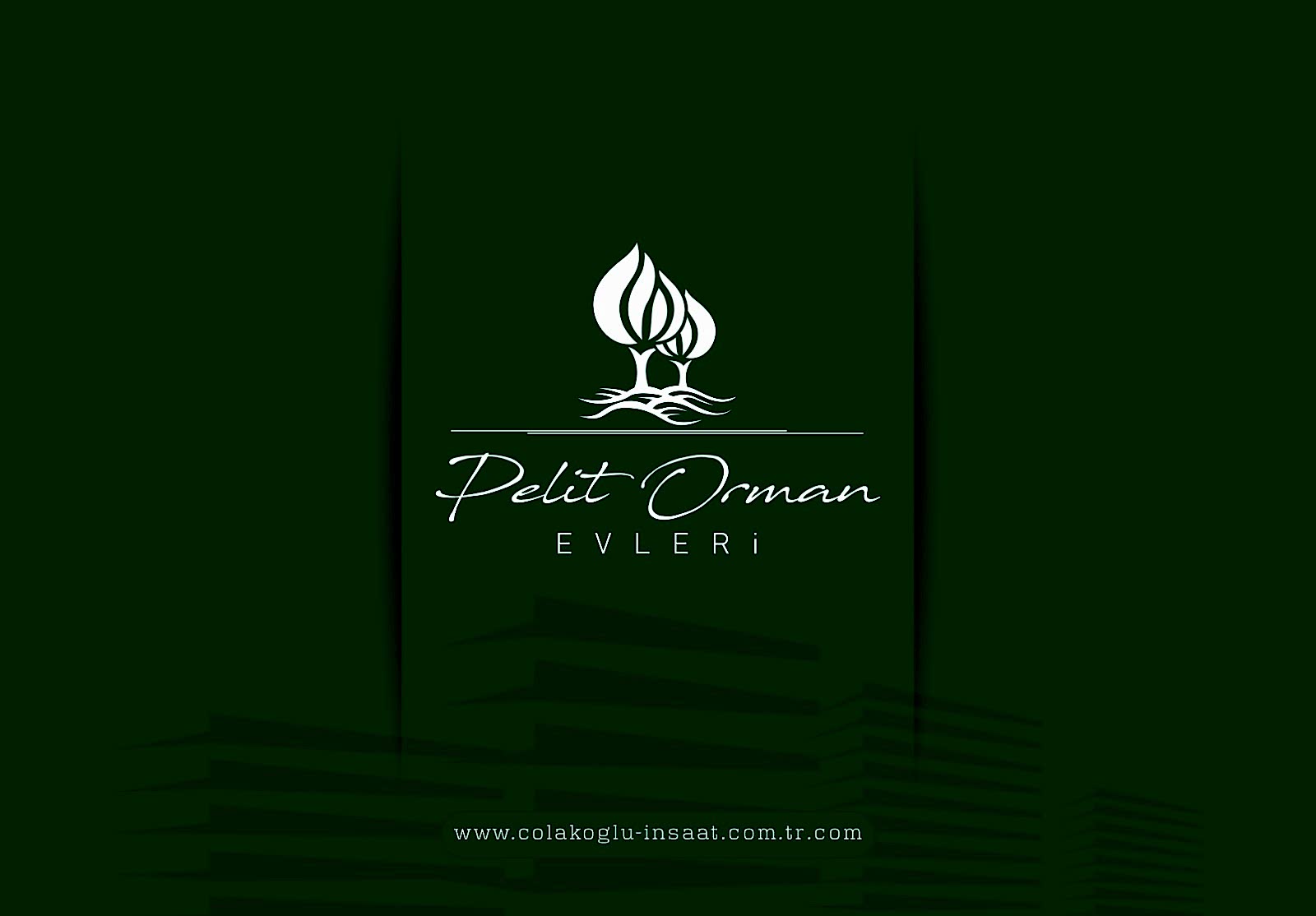 PELİT ORMAN EVLERİ